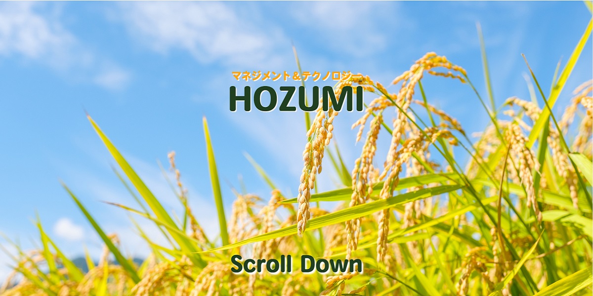 HOZUMI